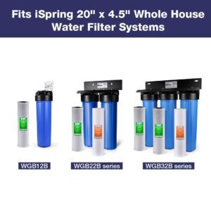 iSpring FC25BX2 High Capacity 20” x 4.5” Water Filter Replacement Cartridges - CTO Carbon Block - Fits Standard 20” x 4.5” Whole House Water Filter Systems - Reducing up to 99% Chlorine - Pack of 2