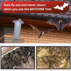 Bat Cone II Reusable Bat Excluder – Humane One-Way Entry Capture Device by Wildlife Control Supplies – Safe & Effective Bat Catcher for Commercial & Residential Use – Great for Roofs, Garages & Sheds