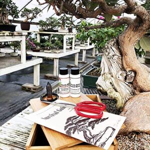 Tinyroots Starter Bonsai Tool Kit - Survival Guide + Set Includes: Butterfly Pruning Shears, Bottle Uncle Bill's Fertilizer, 2 Ounce Frit, Aluminum Wire, Genuine Chinese Mud Figurine - Bamboo Case