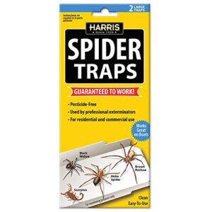 harris natural spider glue traps with lure (2-pack)