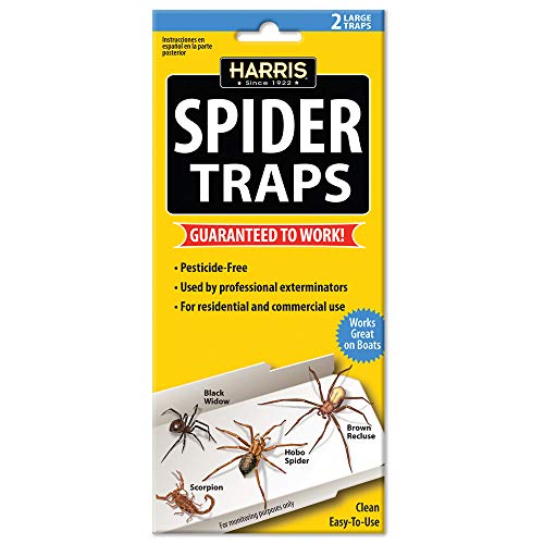 Harris Natural Spider Glue Traps with Lure (2-Pack)