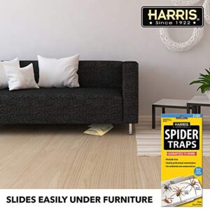 Harris Natural Spider Glue Traps with Lure (2-Pack)