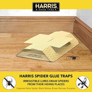 Harris Natural Spider Glue Traps with Lure (2-Pack)