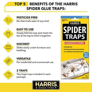 Harris Natural Spider Glue Traps with Lure (2-Pack)