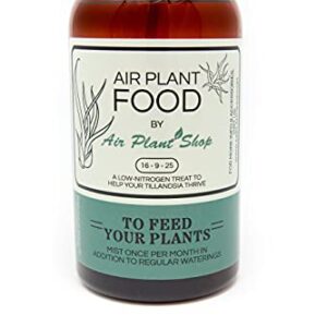 Air Plants Fertilizer in fine Mist Spray Bottle – Plant Food for Tillandsia - Monthly use for Growth of House Plants (1 Pack - 8 OZ)