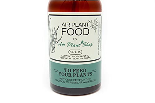 Air Plants Fertilizer in fine Mist Spray Bottle – Plant Food for Tillandsia - Monthly use for Growth of House Plants (1 Pack - 8 OZ)