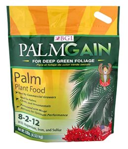 bgi palmgain 10lb bag palm tree fertilizer, ferns, cycads, ixora