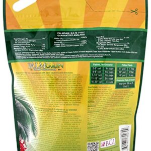 BGI PALMGAIN 10lb Bag Palm Tree Fertilizer, Ferns, Cycads, Ixora