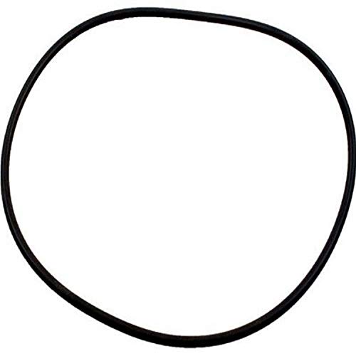 Zodiac R0555400 Pot Lid O-Ring Replacement for Select Zodiac Jandy JHP Series Pump