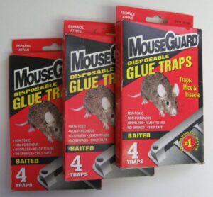 3 pack mouseguard disposable glue traps (12 traps total)
