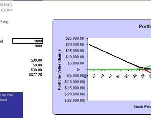 Writing Covered Puts Guide Plus MS Excel Software