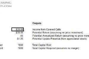 LEAPs Option Guide Plus MS Excel Software