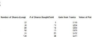 Equity Options Guide Plus MS Excel Software