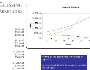 Option Hedging Strategies Guide Plus MS Excel Software