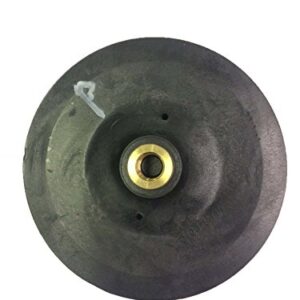 Pentair C105-137P Single Phase Impeller Assembly Replacement Sta-Rite Dura-Glas/Max-E-Glas Pool and Spa Inground Pump