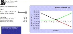 put option guide guide plus ms excel software