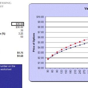 How to Put Trade Options Guide Plus MS Excel Software