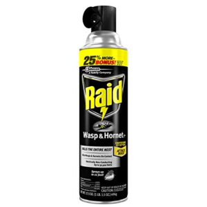 raid wasp and hornet killer, 17.5 oz (pack - 1)