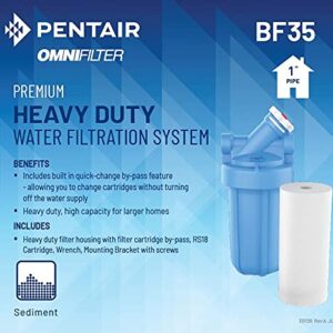 Pentair OMNIFilter BF35 Water Filtration System, 10" Premium Whole House Heavy Duty Filtration System with Bypass, Includes 10" Blue Heavy Duty Housing, RS18 Sediment Reduction Cartridge and All Tools