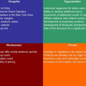 Frame Shop SWOT Analysis Plus Business Plan