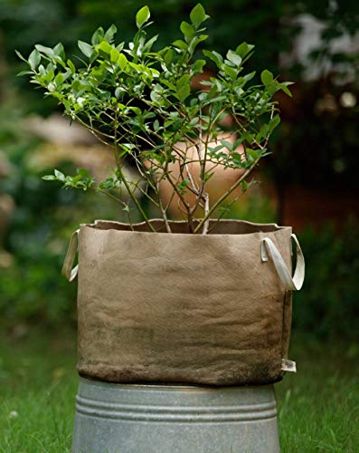 Smart Pots 20-Gallon Smart Pot Soft-Sided Container, Tan with Strap handles