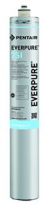 everpure ev9606-01 7si cartridge