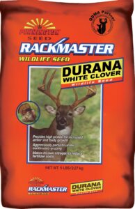 pennington rackmaster durana clover 5 lb