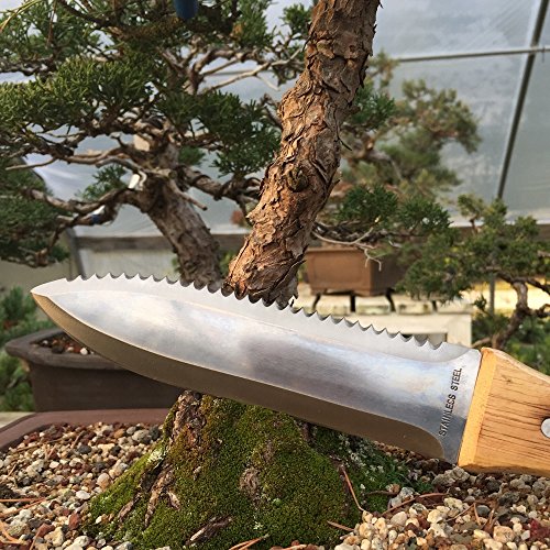 Bonsai Outlet Tinyroots Hori Hori Knife for Gardening, Multiple Purpose Garden Tools Used for Digging, Cutting and Weeding, Stainless Steel with Wooden Handle