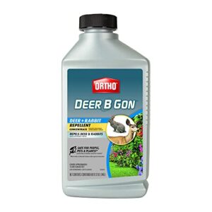 ortho deer b gon deer and rabbit repellent concentrate, 32-ounce