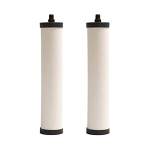doulton m15 ultracarb ceramic drinking water filter candle for franke 02, franke triflow, filterflow, all 1st gen steel and 2nd gen plastic housings ¦ frx01 ¦ 10 inch ¦ m15 thread ¦ w9223021 (2 pack)