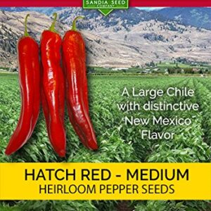 Hatch Red Chile Medium 30 Seeds - Sweet Hatch Flavor with Some Heat - Non-GMO