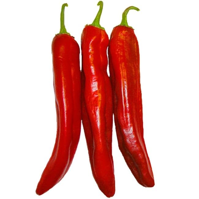 Hatch Red Chile Medium 30 Seeds - Sweet Hatch Flavor with Some Heat - Non-GMO