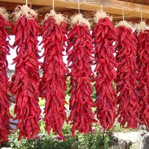 Hatch Red Chile Medium 30 Seeds - Sweet Hatch Flavor with Some Heat - Non-GMO