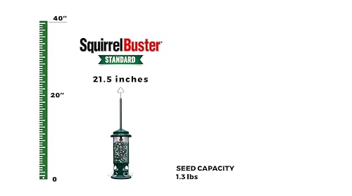 Squirrel Buster Standard Squirrel-proof Bird Feeder w/4 Metal Perches, 1.3-pound Seed Capacity, garden green