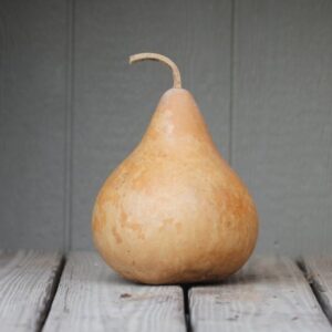 (VGOH)~"MARTIN BIRDHOUSE" GOURD~Seed!!!!~~~Extremely Prolific!~~Hardshell Variety!