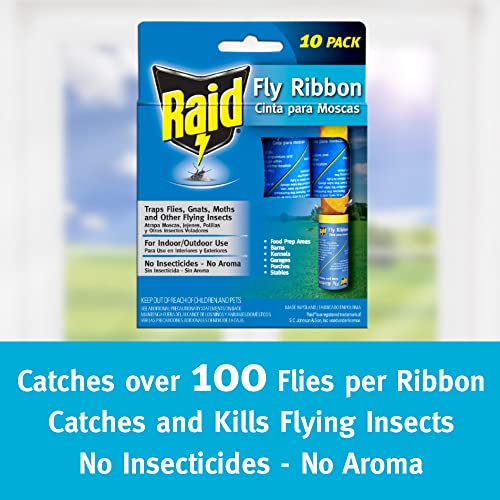 Raid FR10-RAID Fly Ribbon, 10 Count