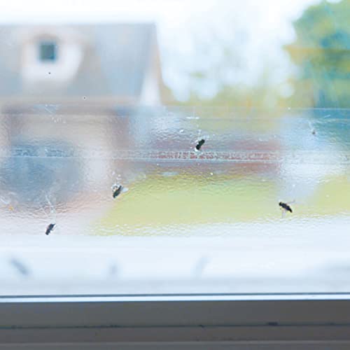 Raid Window Fly Traps, 4 Traps