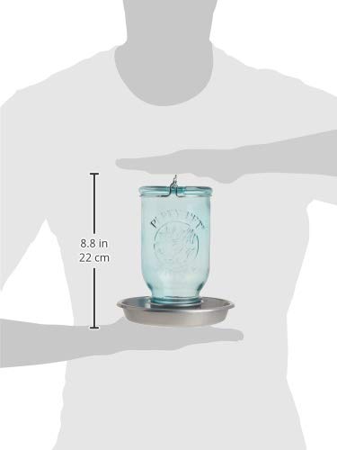 Perky-Pet 1 Mason Jar Wild Bird Waterer 783, Blue