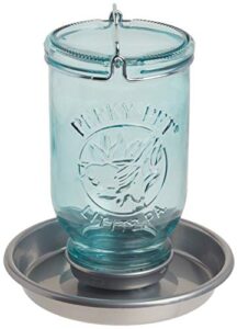 perky-pet 1 mason jar wild bird waterer 783, blue