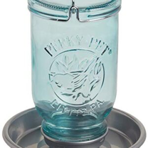 Perky-Pet 1 Mason Jar Wild Bird Waterer 783, Blue