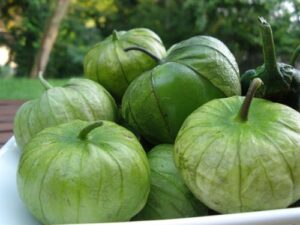 100+ tomatillo verde seeds- heirloom variety-"green tomato","ground cherry"