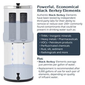 Travel Berkey Gravity-Fed Water Filter with 2 Black Berkey Elements + 2 Berkey PF-2 Fluoride and Arsenic Reduction Elements—Use at Home or Outdoors