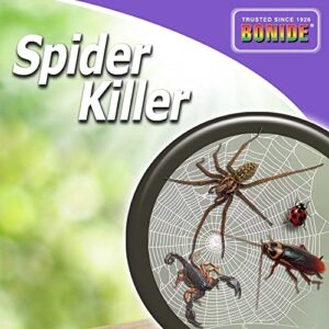 Bonide Spider Killer, 128 oz Ready-to-Use Spray for Indoors & Outdoors, Long Lasting Formula Kills on Contact