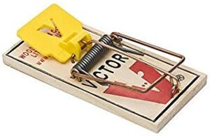 expanded trigger mouse trap (pack of 72)