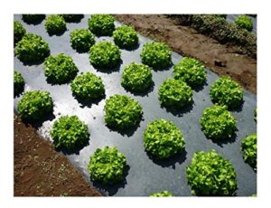 grower's solution black plastic mulch 4ft. x 100ft. 1.0 mil embossed