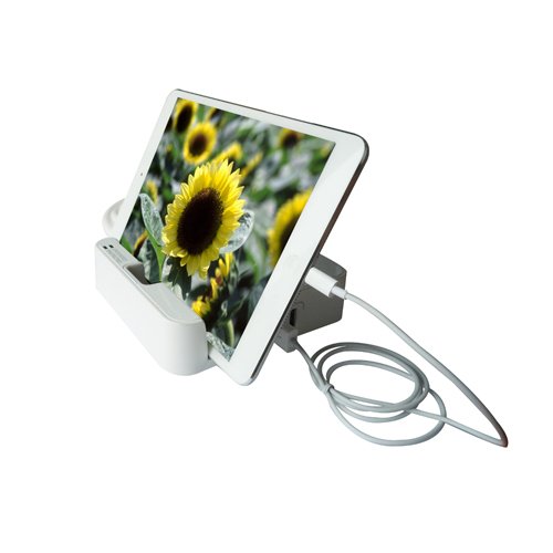 RND Desktop Charging Station with 3 AC Plugs and 3 USB ports Surge Protector with a slot for iPads and Tablets.