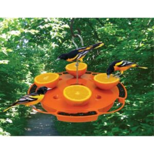 songbird essentials ultimate oriole feeder