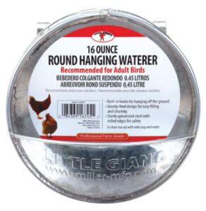 little giant® hangable poultry waterer| galvanized round hanging poultry waterer | hanging chicken waterer | chicken canteen