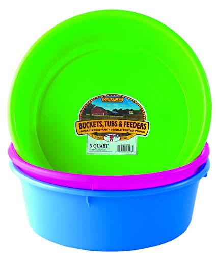 Little Giant® Plastic Utility Pan | Feed Pan | Durable & Versatile Livestock Feeding Bucket | Made in USA | 5 Quart | Berry Blue