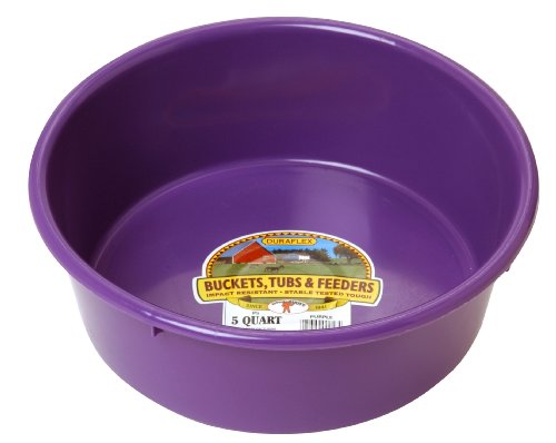 Little Giant® Plastic Utility Pan | Feed Pan | Durable & Versatile Livestock Feeding Bucket | Made in USA | 5 Quart | Purple